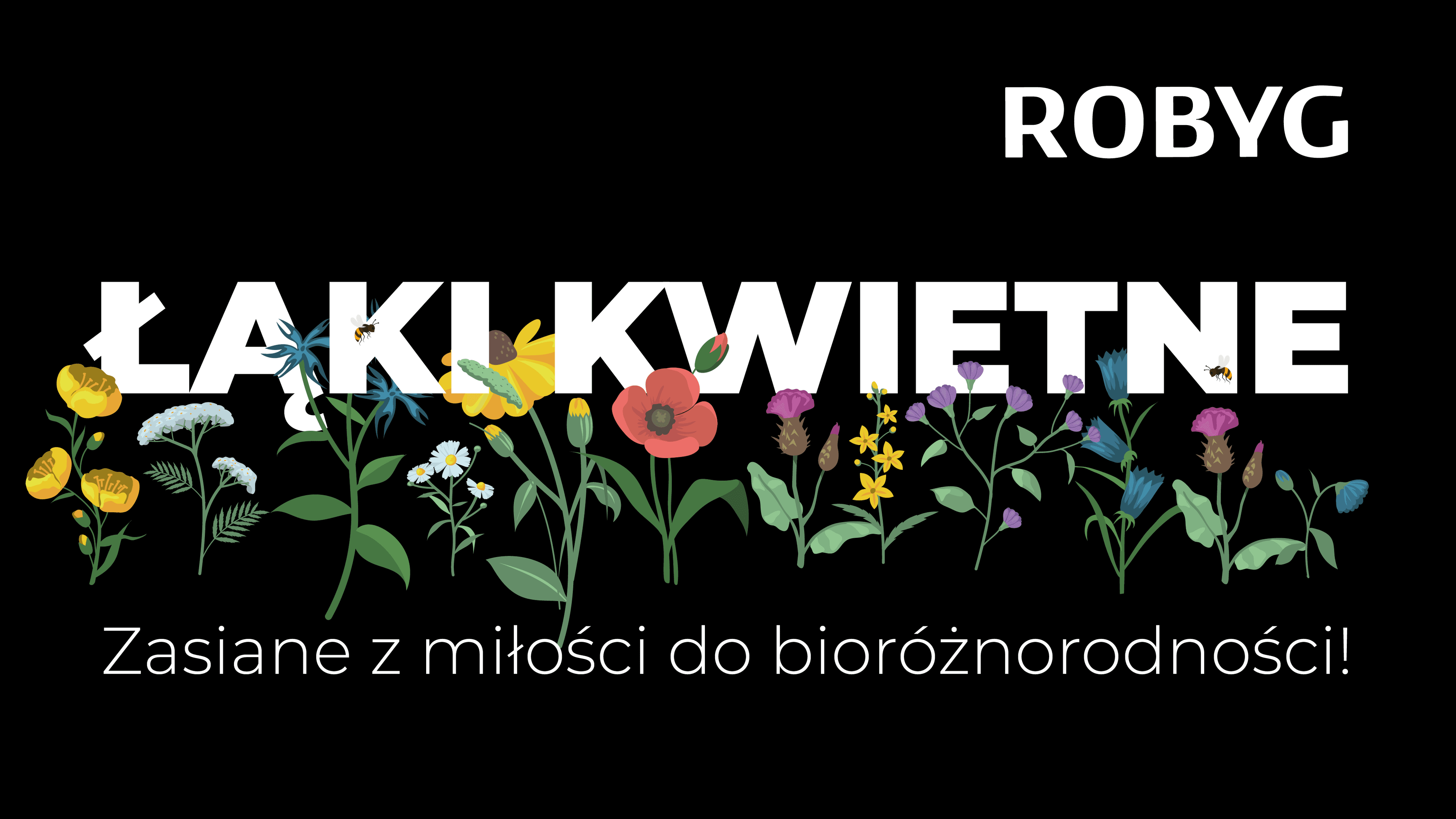 ROBYG zachęca, by ukwiecać miasta i rozdaje nasiona
