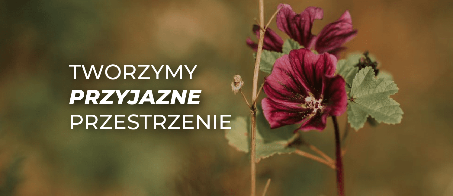  „Tworzymy przestrzenie przyjazne ludziom i środowisku” – ROBYG rozpoczął kampanię  w zrównoważonym duchu